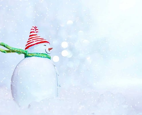 Effetto neve per WordPress