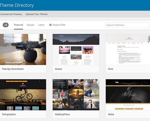 Il miglior tema Wordpress